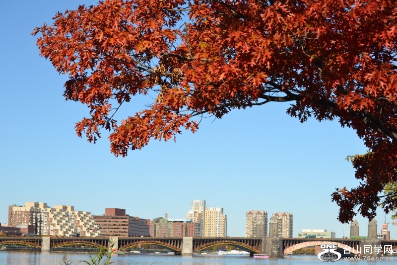 Charlest river 2011-11-05 064 (800x533).jpg