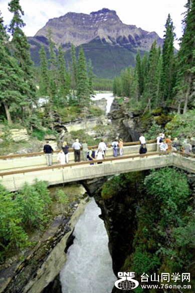 Athabasca-Falls-JNP-400=.jpg