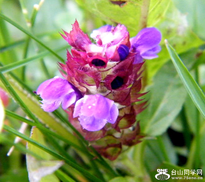 DSCF5583=.jpg