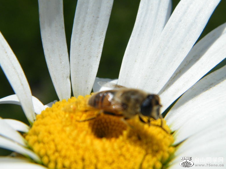 DSCF3777.JPG