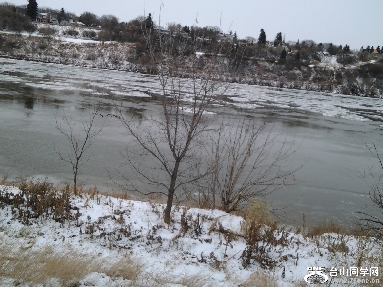 2011-11-17 12.38.32=.jpg