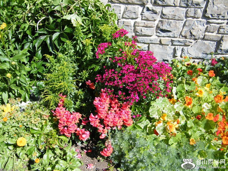 DSCF3375.JPG