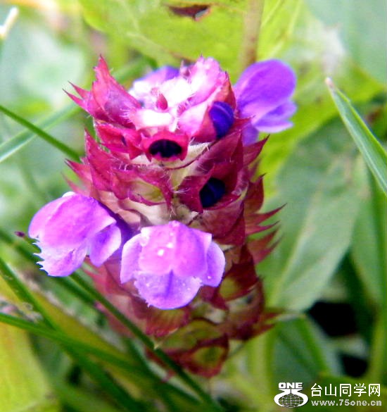 DSCF5584=.jpg