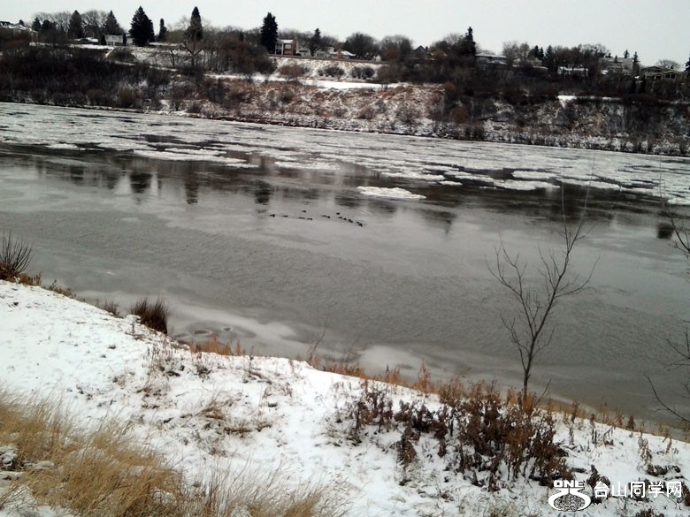 2011-11-17-12.39.09=.jpg