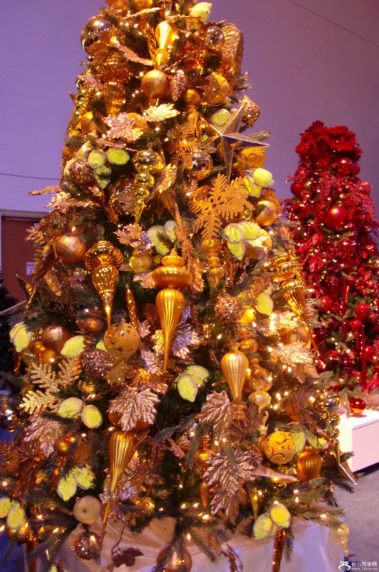 2011.12 ʥֳ (15).JPG