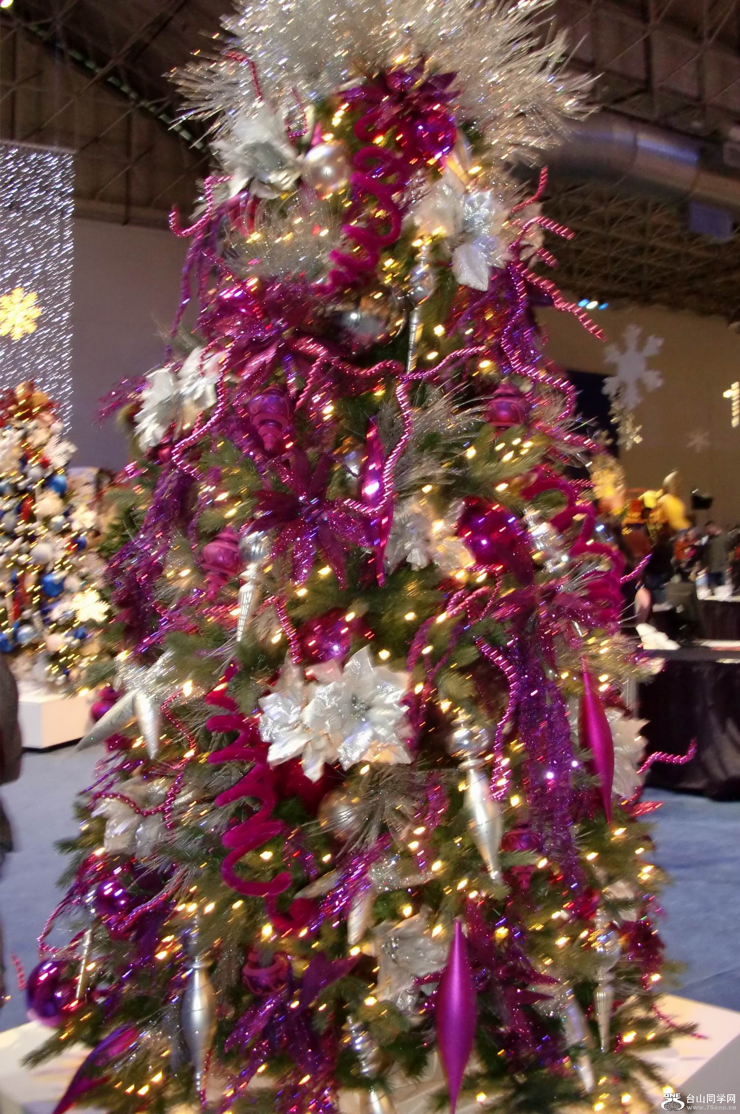2011.12 ʥֳ (12).JPG