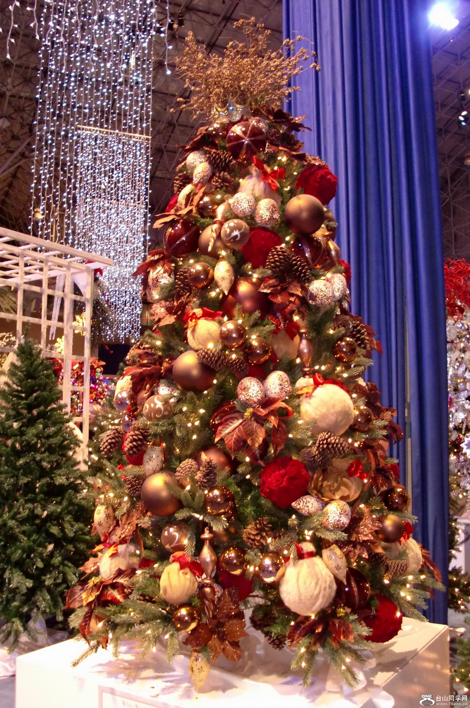 2011.12 ʥֳ (17).JPG