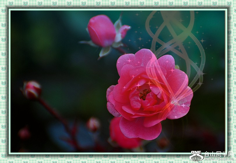 dsc_4608__.jpg