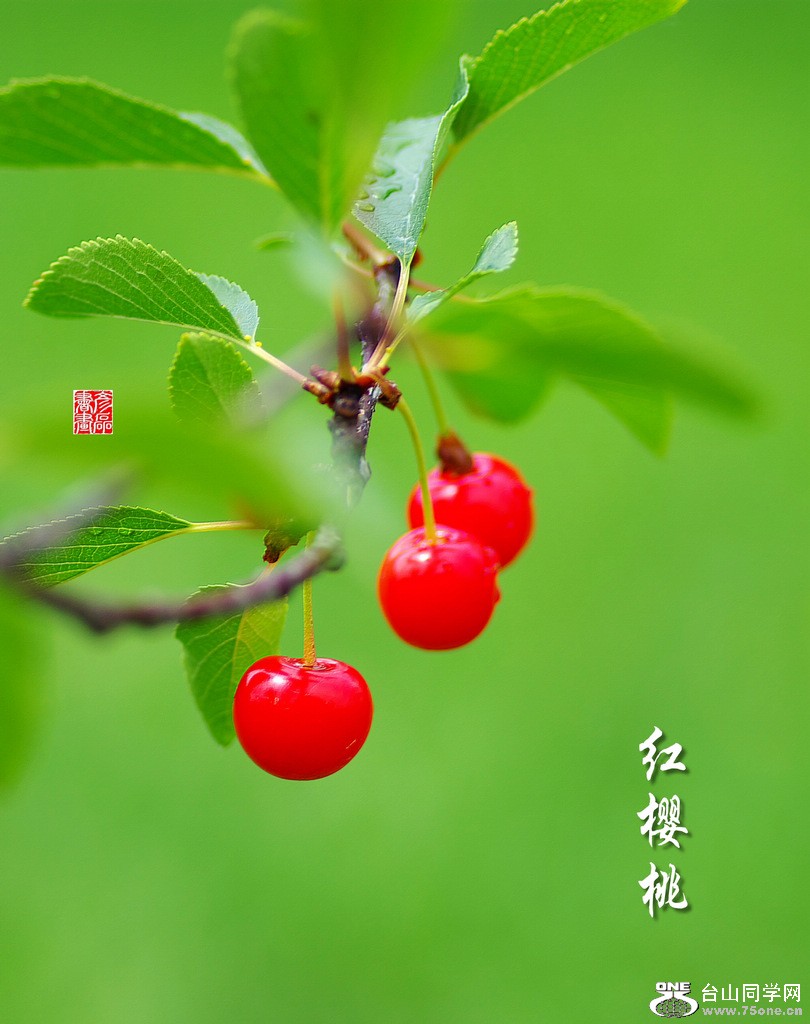 IMGP4480 f.JPG