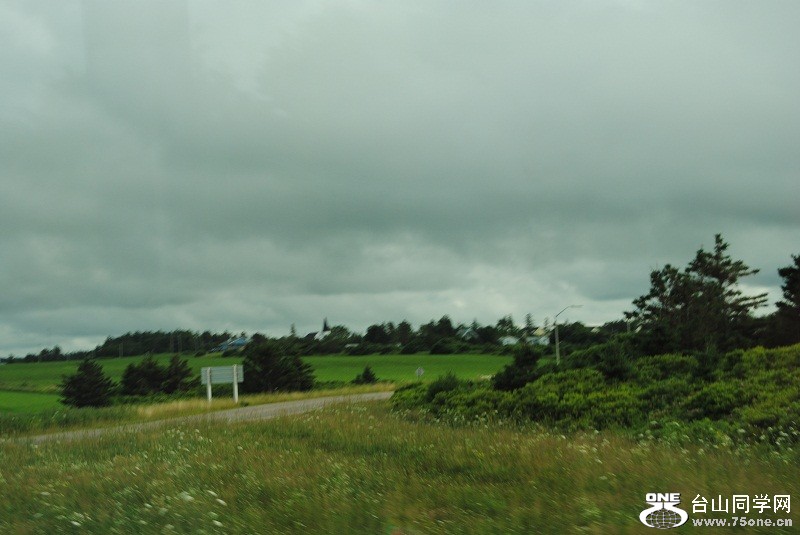 DSC_2428.JPG