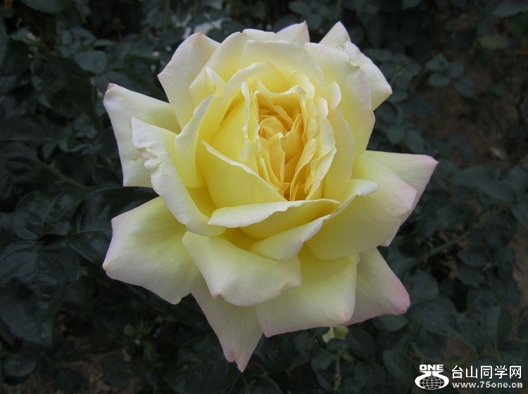 IMG_4786-8.jpg