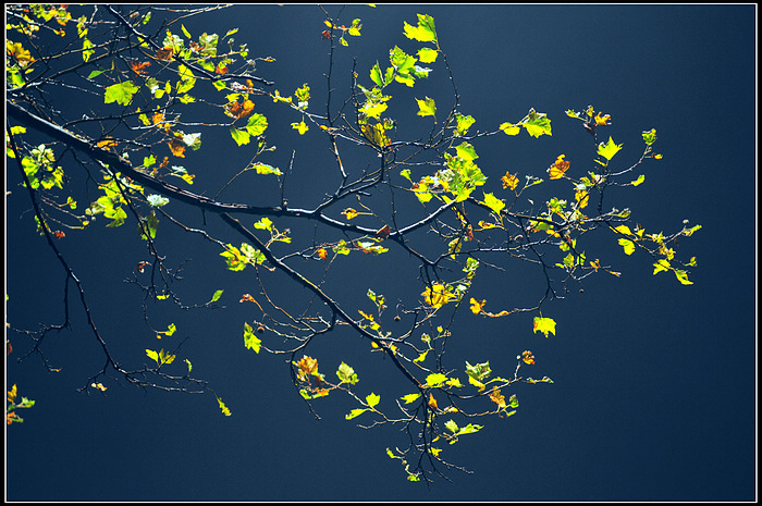 DSC_9861.JPG