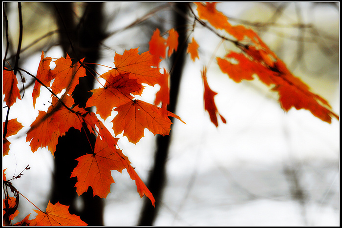 DSC_8546.JPG