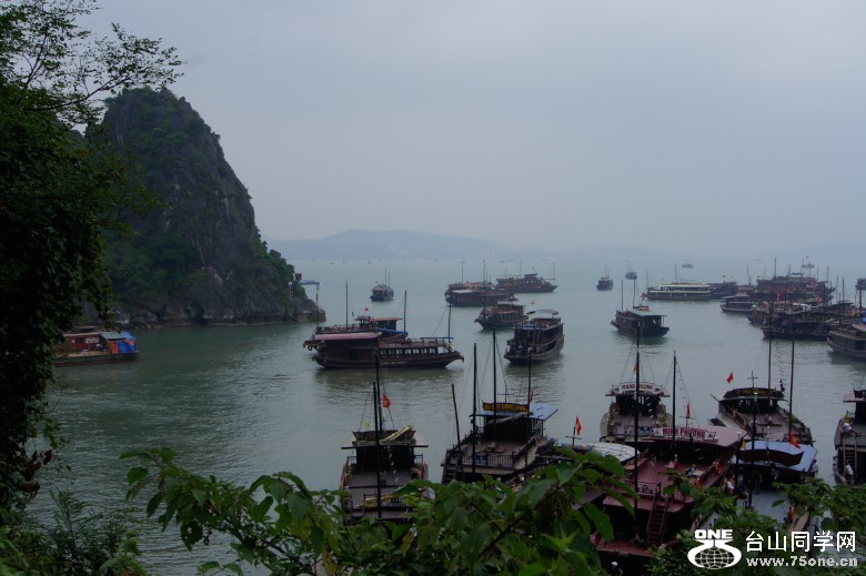 DSC01969_conew1.jpg