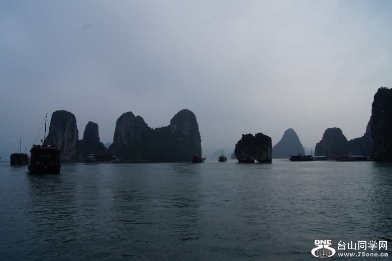 DSC01986_conew1.jpg