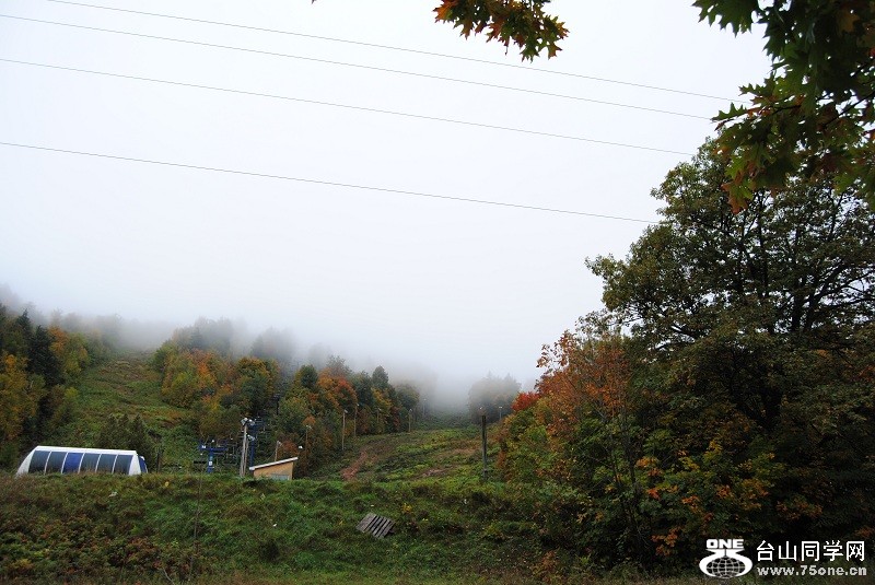 DSC_7849.JPG
