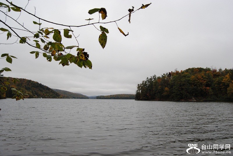 DSC_8074.JPG