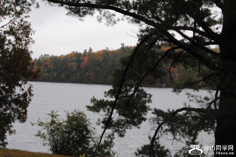 DSC_7931.JPG