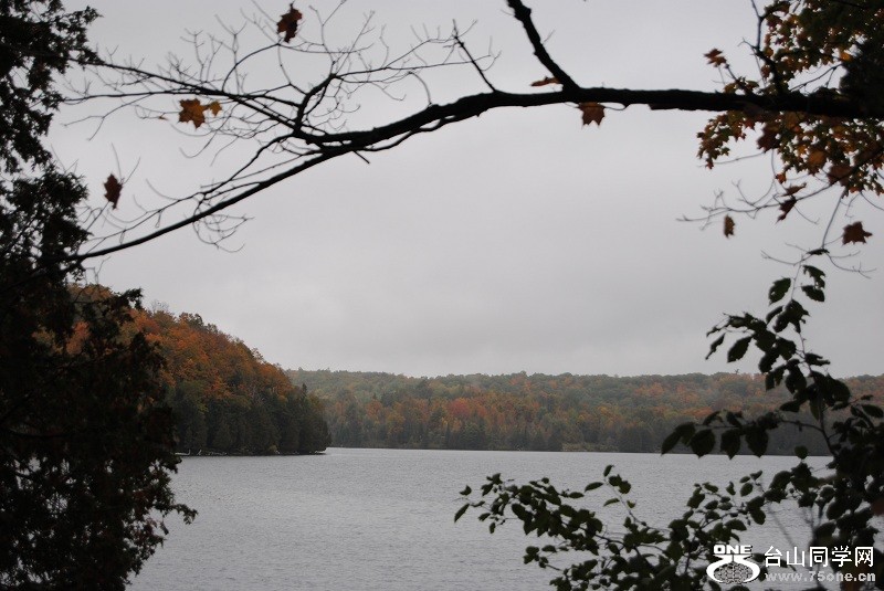 DSC_7984.JPG