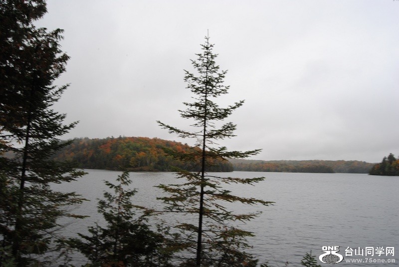DSC_7977.JPG
