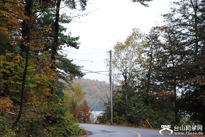DSC_7955.JPG