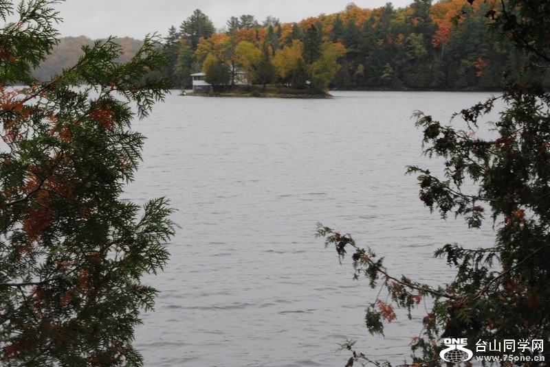 DSC_7972.JPG