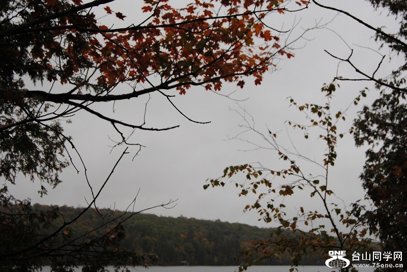 DSC_7942.JPG
