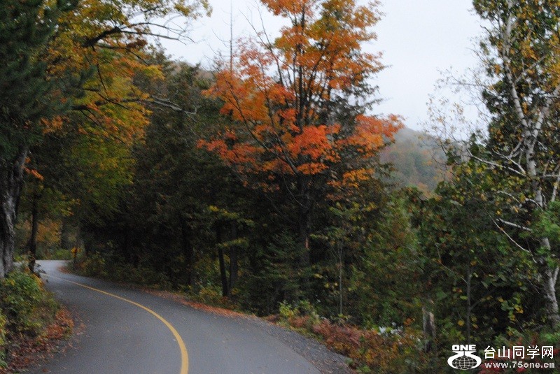 DSC_7970.JPG