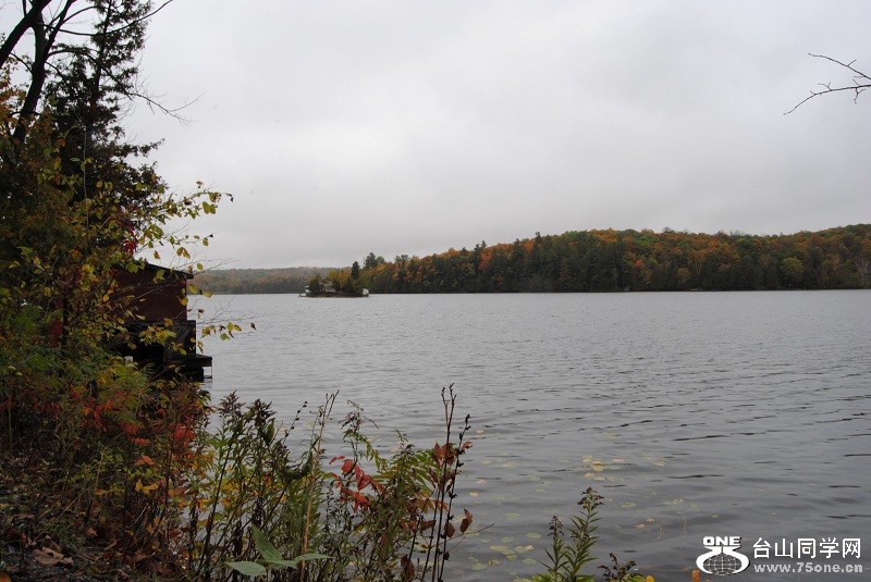 DSC_7967.JPG