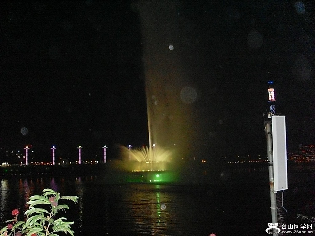 SL373582.JPG