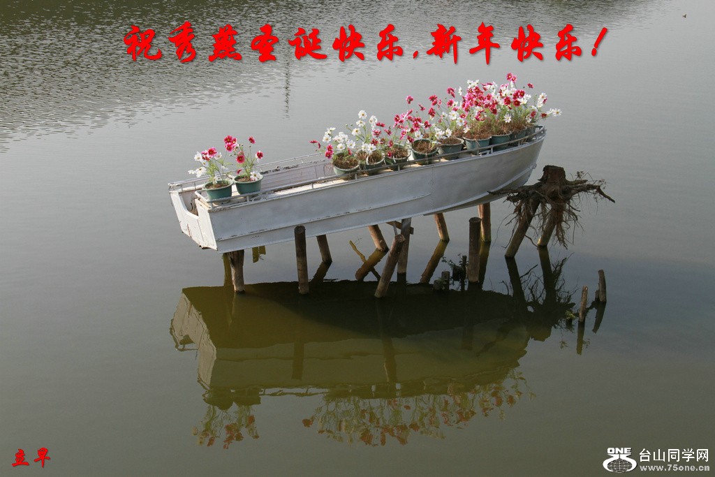 213.jpg