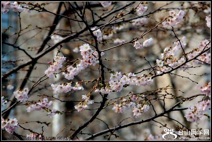 ������С IMG_0198.JPG