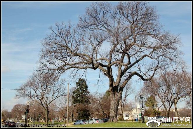 ������С IMG_0339.JPG