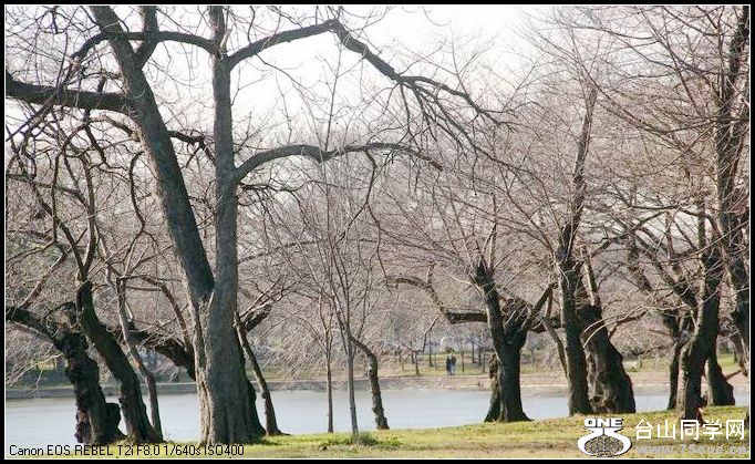 ������С IMG_0397.JPG