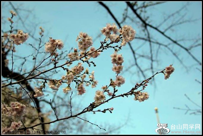 ������С IMG_0199.JPG