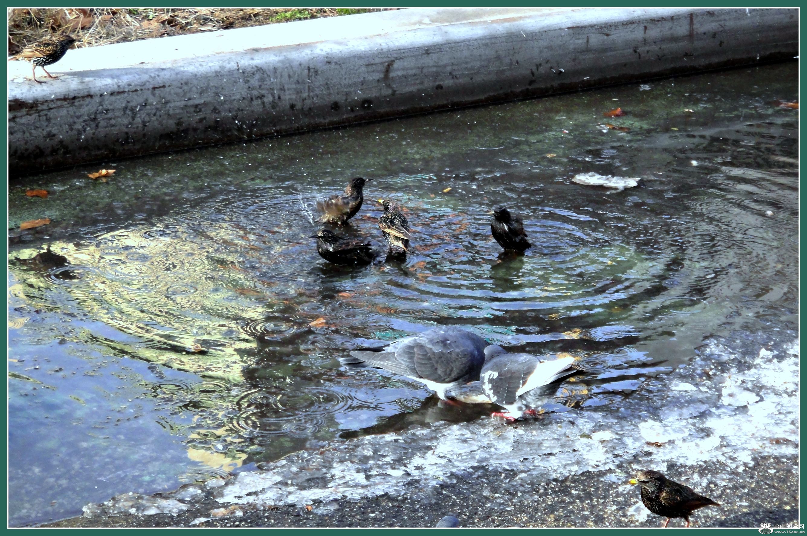 DSC08494.JPG