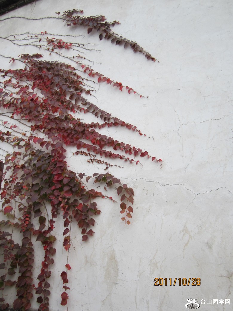 ɽ�������� 253_conew1.jpg