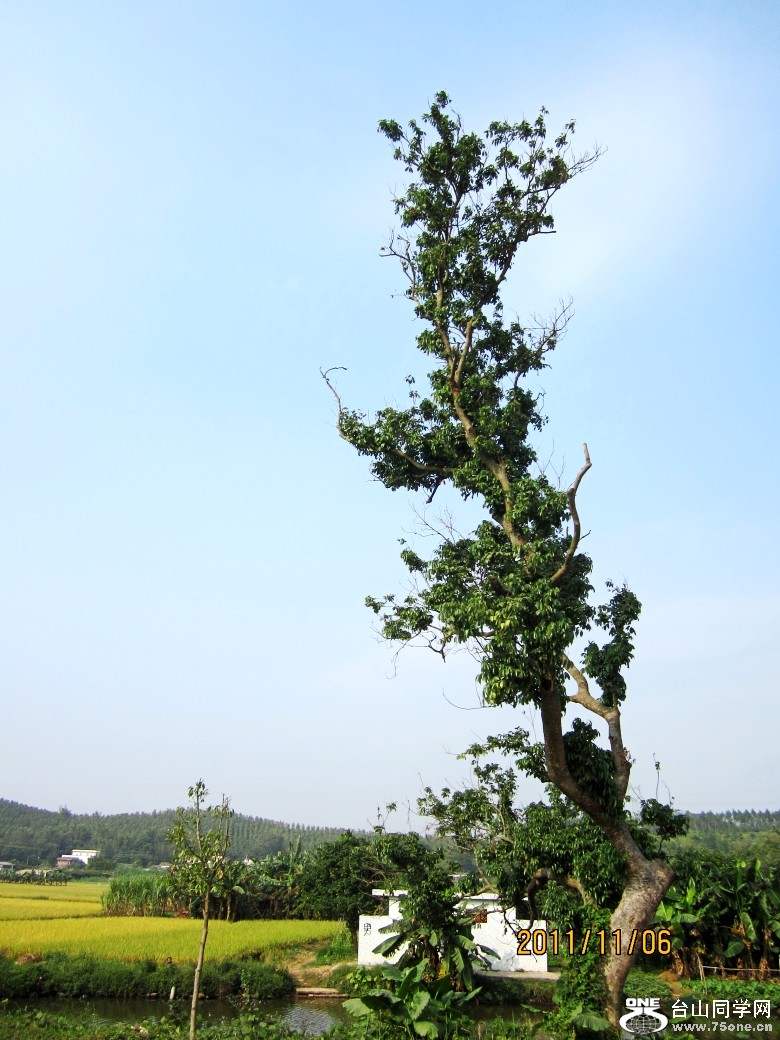 �����㳡 021_conew1.jpg