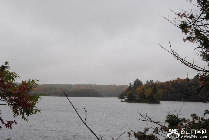 DSC_7918.JPG