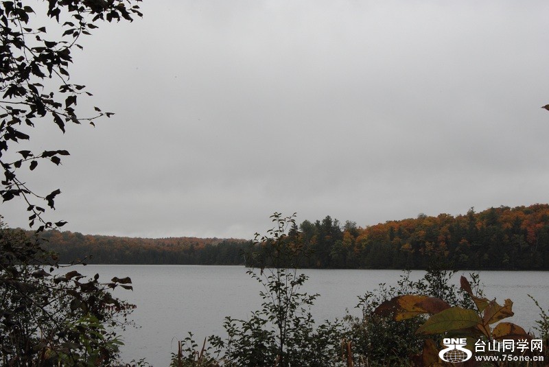 DSC_7996.JPG