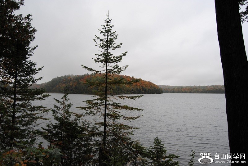 DSC_7976.JPG