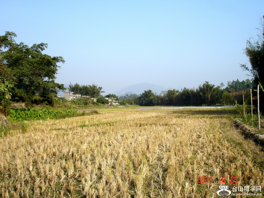 04.jpg