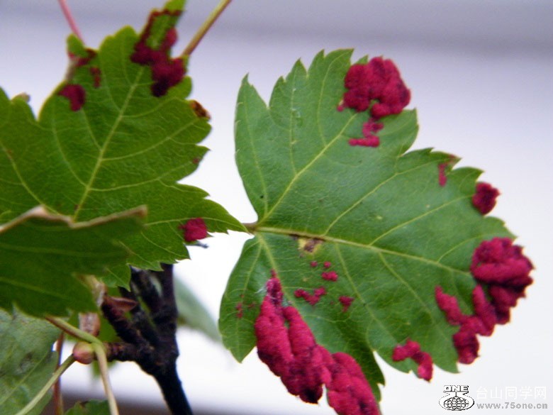 DSCF9329.jpg