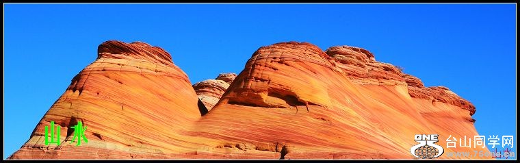 IMG_4540.jpg