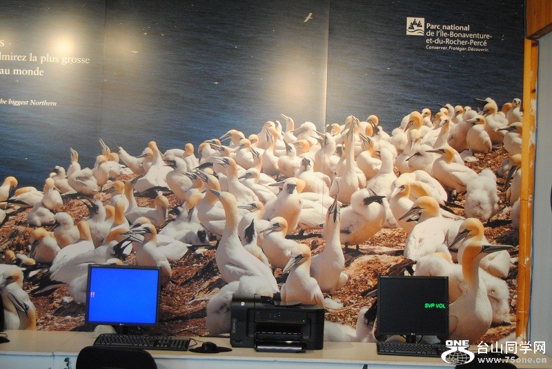 DSC_6206.JPG