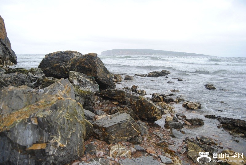 DSC_4287.JPG