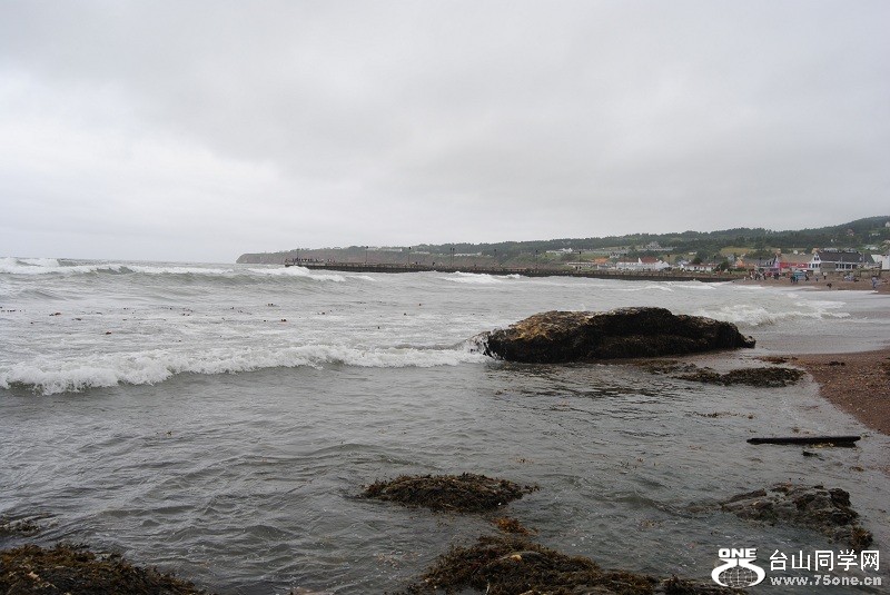 DSC_4282.JPG