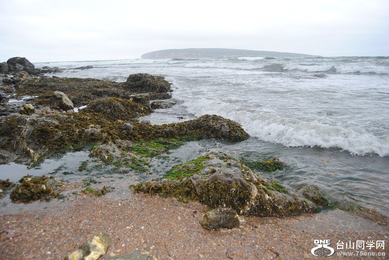 DSC_4281.JPG