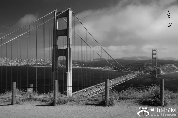 _MG_0100.jpg