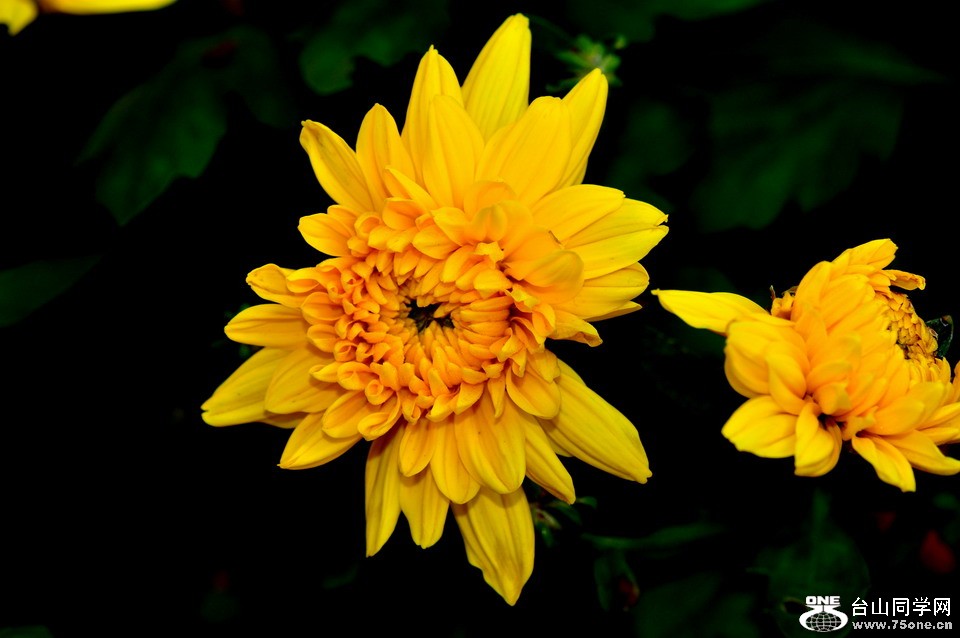 DSC_1748aa.jpg
